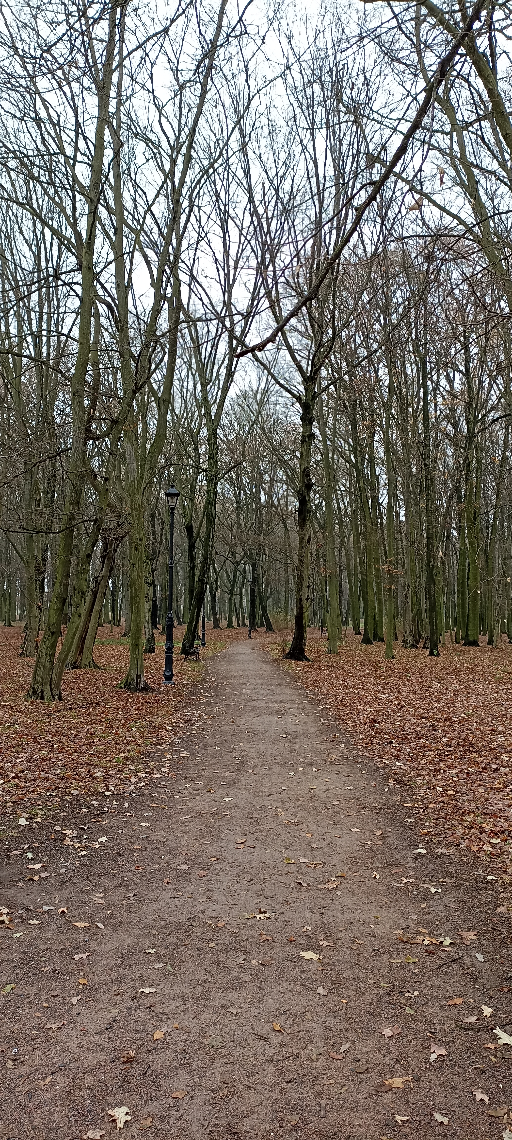 Park Wiosny Ludów