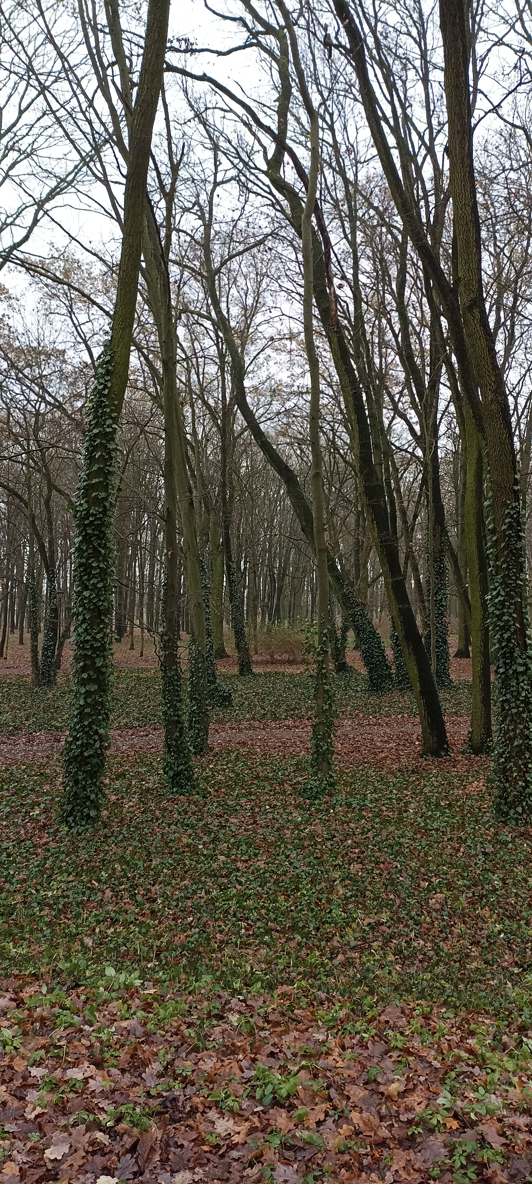 Park Wiosny Ludów