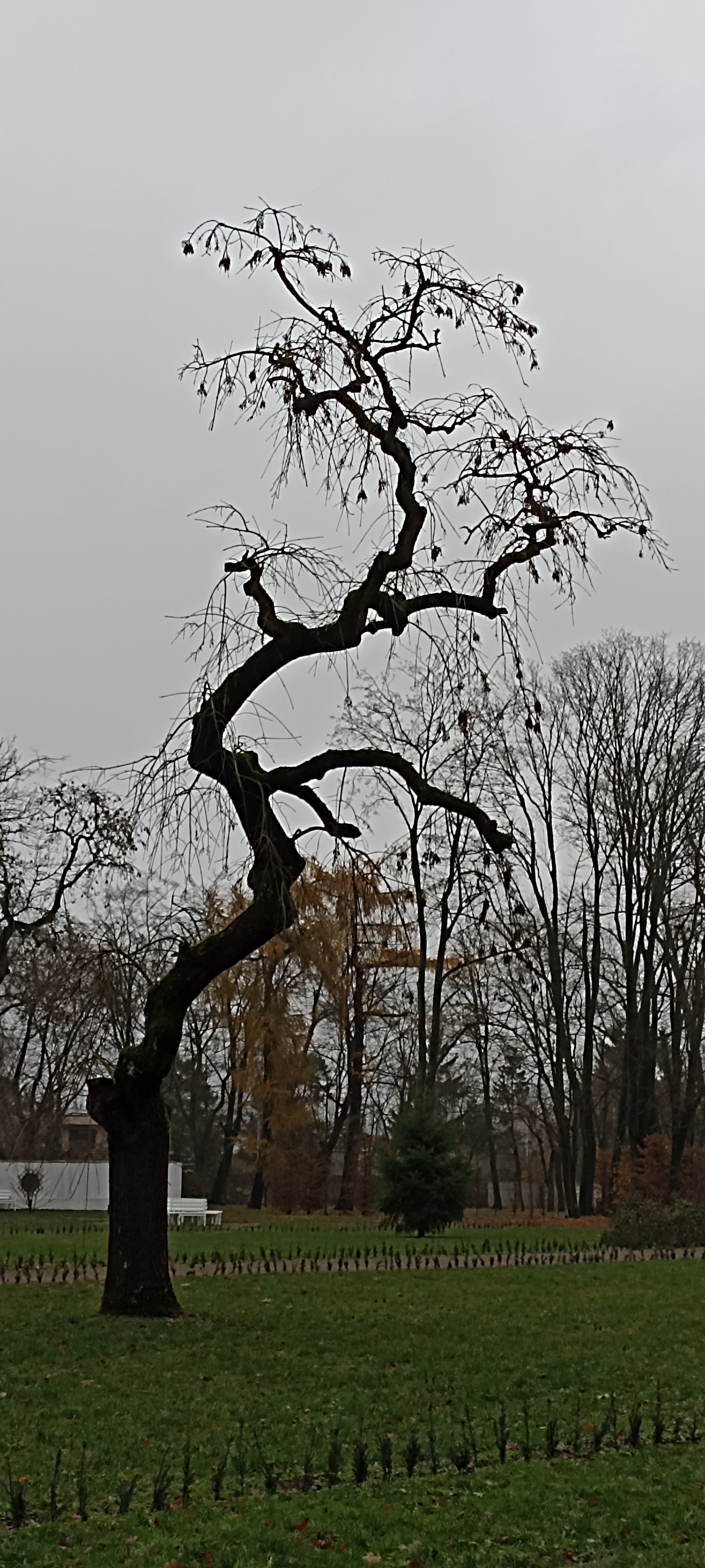 Park Wiosny Ludów